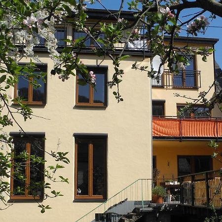 Ferienwohnung Ellebett Müden Екстериор снимка